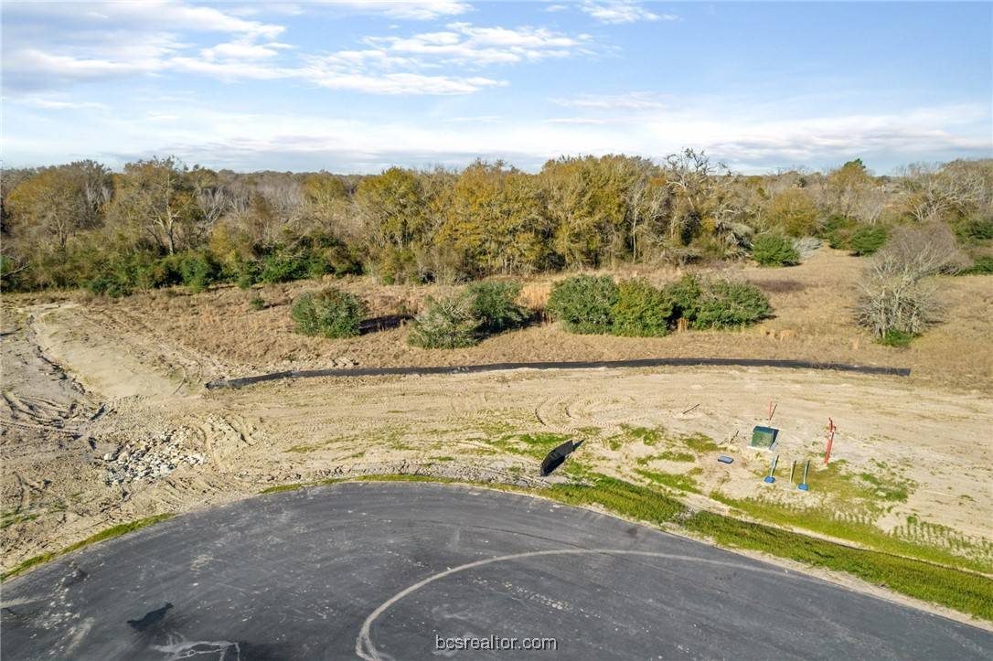 10746 Harvey Ranch RD, College Station, TX 77845