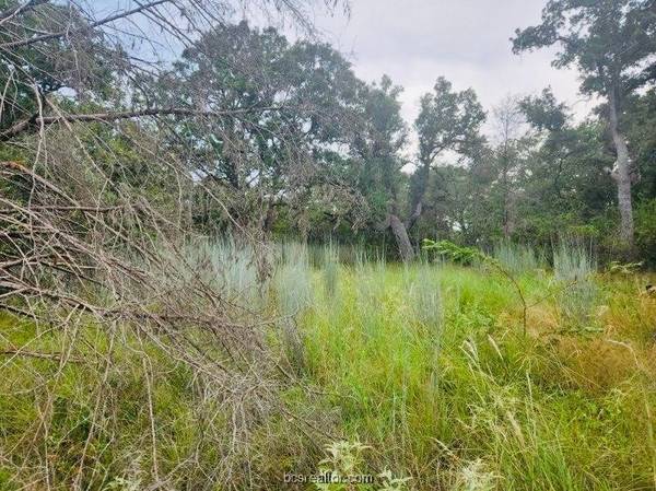 TBD Odin ST, Somerville, TX 77879