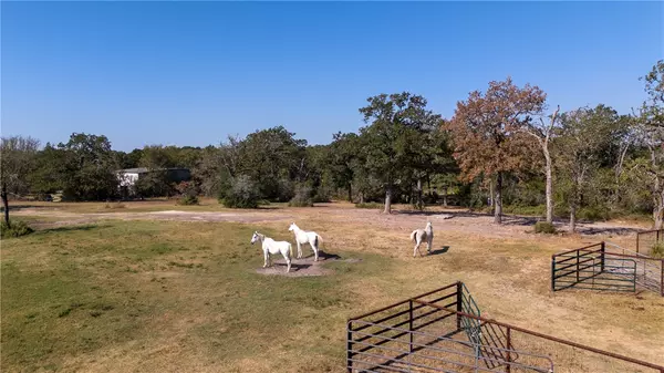 Navasota, TX 77868,1434 Paradise WAY