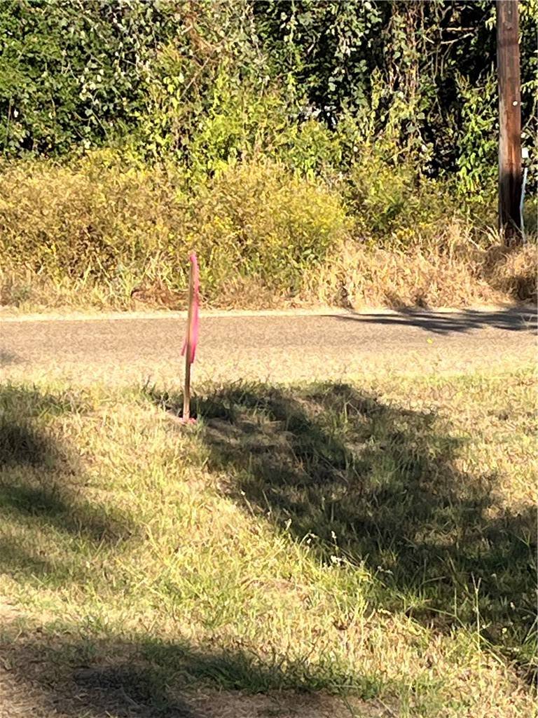 Somerville, TX 77879,438 Low Wood RD
