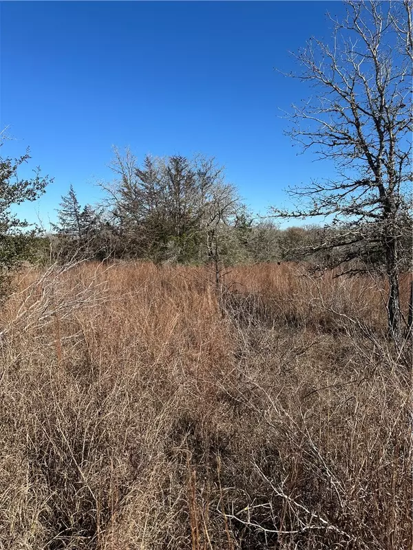 Somerville, TX 77879,TBD Lions Circle