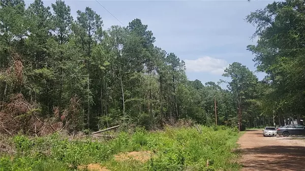 Lot 28 Honey Locust, Plantersville, TX 77363