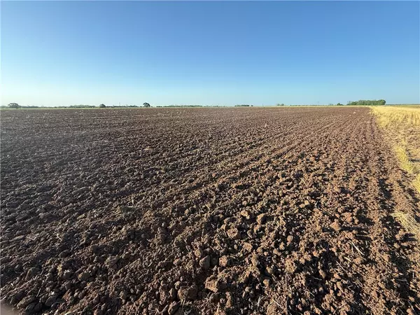 TBD Highway 50 (203.4050 ACRES), Snook, TX 77878