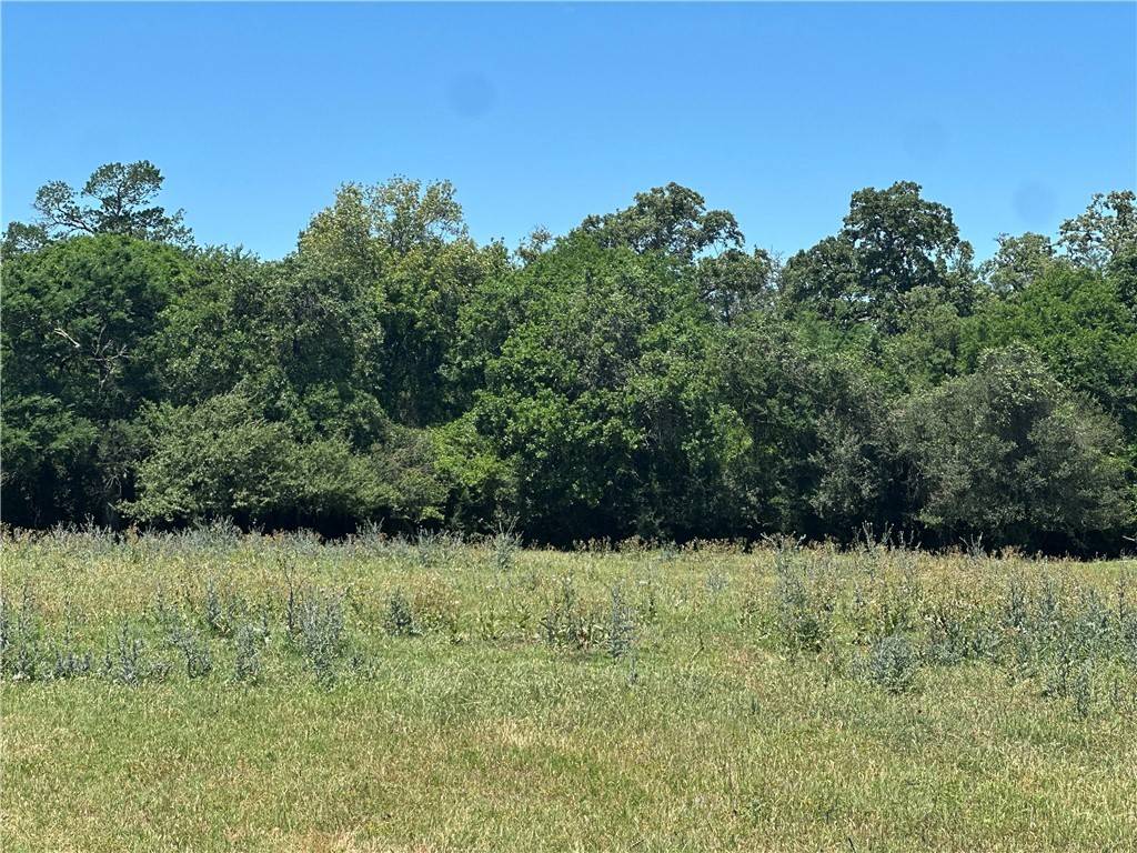 1200 Steamboat, Bryan, TX 77807