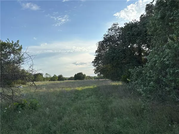 TBD CR 302, Rockdale, TX 76567