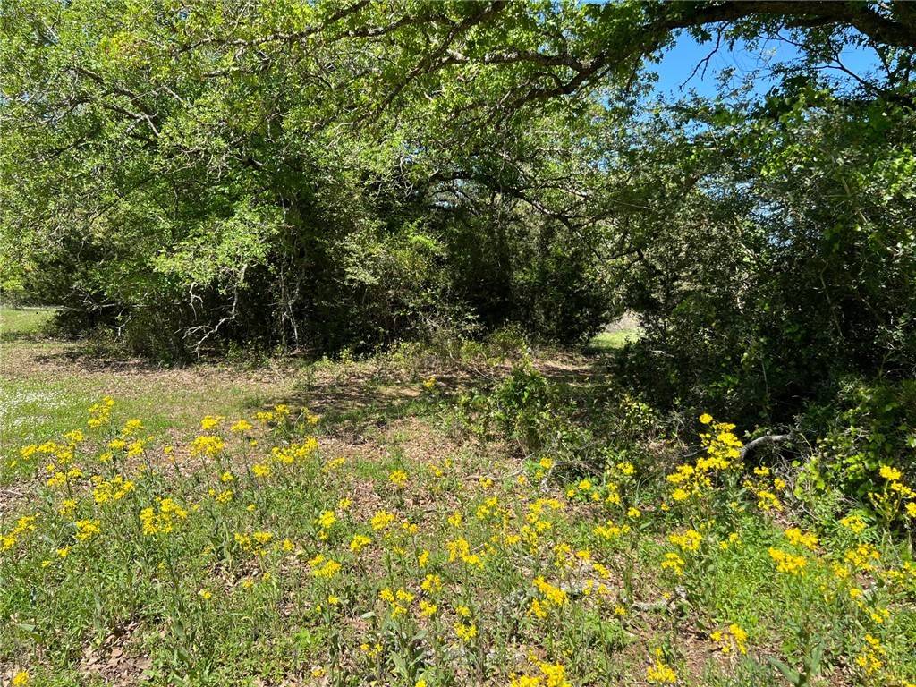 13396/13185 Hopes Creek Meadow CIR,  College Station,  TX 77845