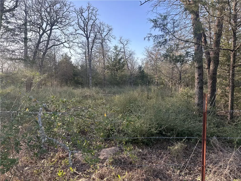 Somerville, TX 77879,5 acres County Road 462