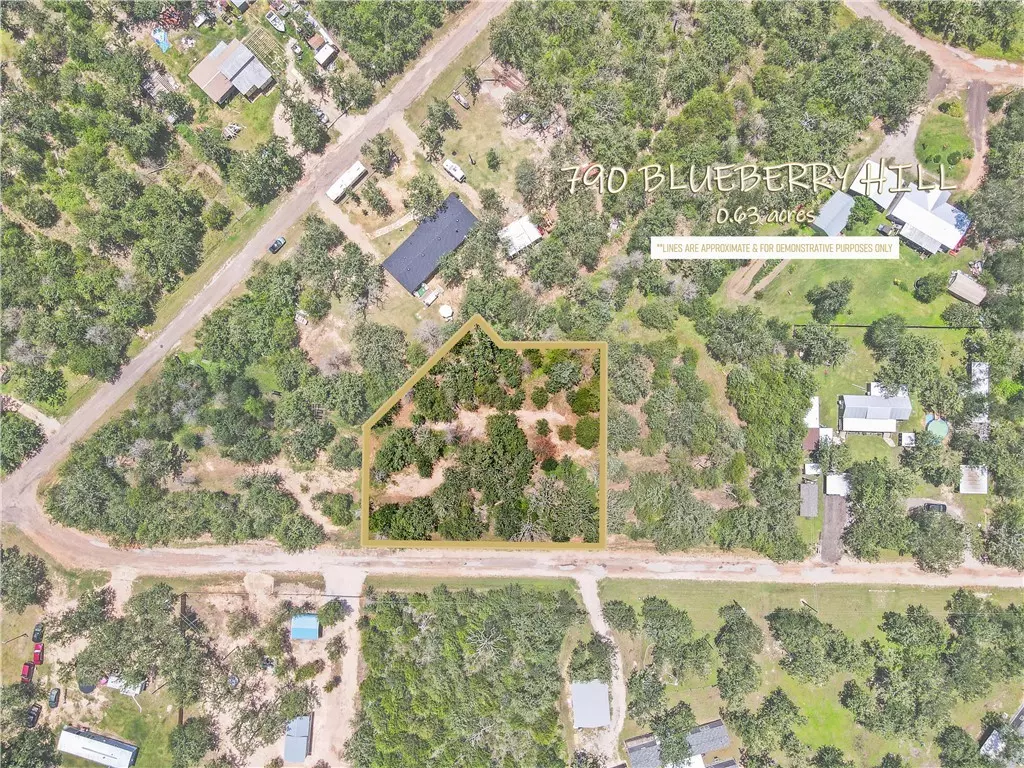 Somerville, TX 77879,790 Blueberry RD