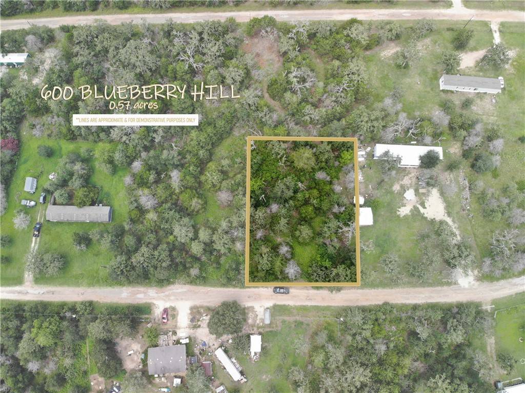 600 Blueberry Hill RD, Somerville, TX 77879