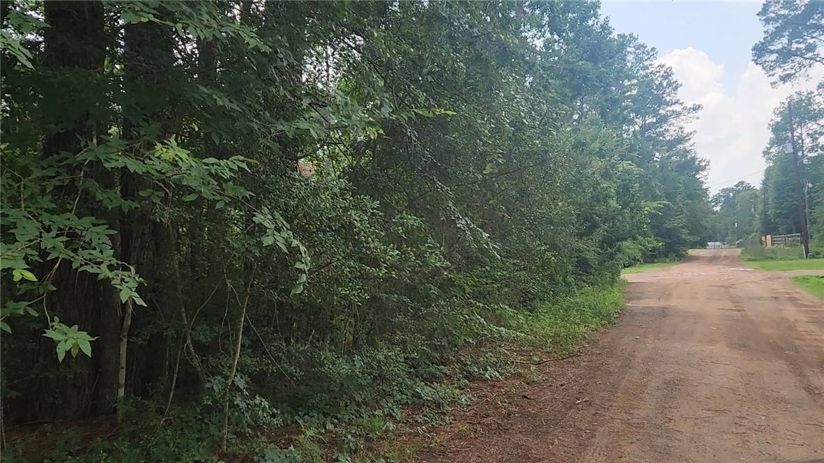 Lot 8 Walnut Tree LN, Plantersville, TX 77363