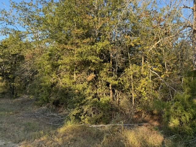 3387 Beaver Creek RD, Caldwell, TX 77836