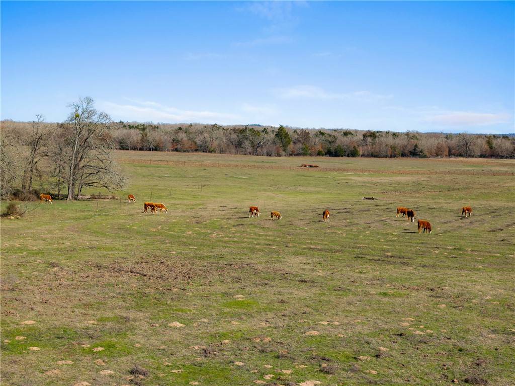 95 Acres +/- County Road 234, Milano, TX 76556