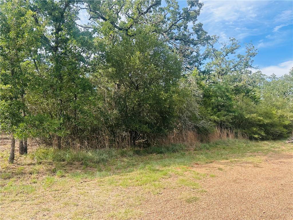 215 Mesquite TRL, Somerville, TX 77879