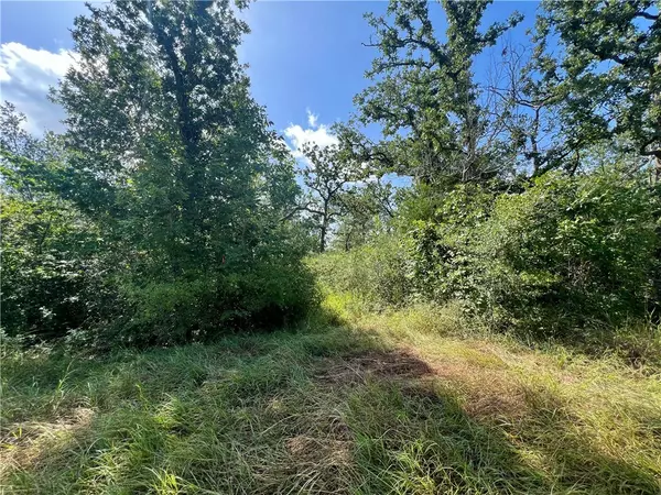990 Big Berry RD, Somerville, TX 77879