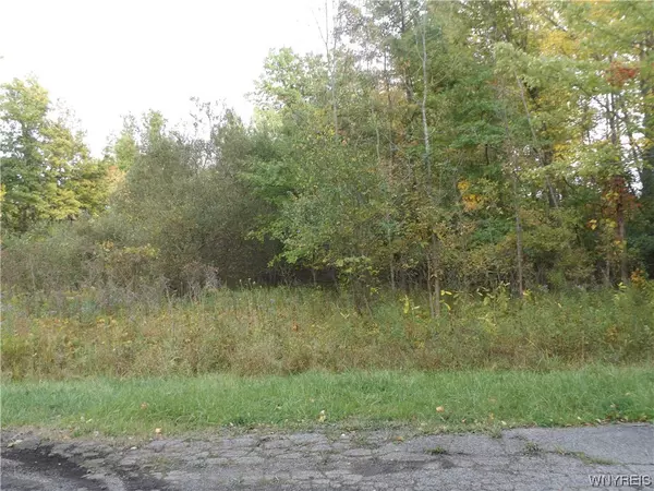 Grand Island, NY 14072,Lot 1,2,3 Glen Avon RD E