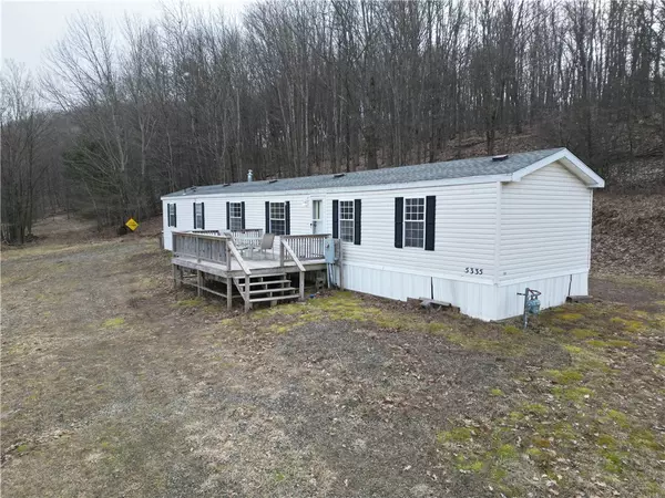 Wellsville, NY 14895,5335 Hog Brook RD