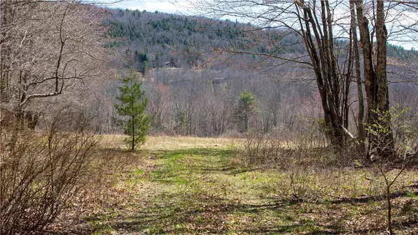 Prattsville, NY 12468,Lot 6 County Route 11