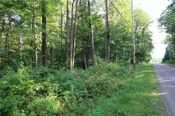 Willet, NY 13863,Lot 10 German RD