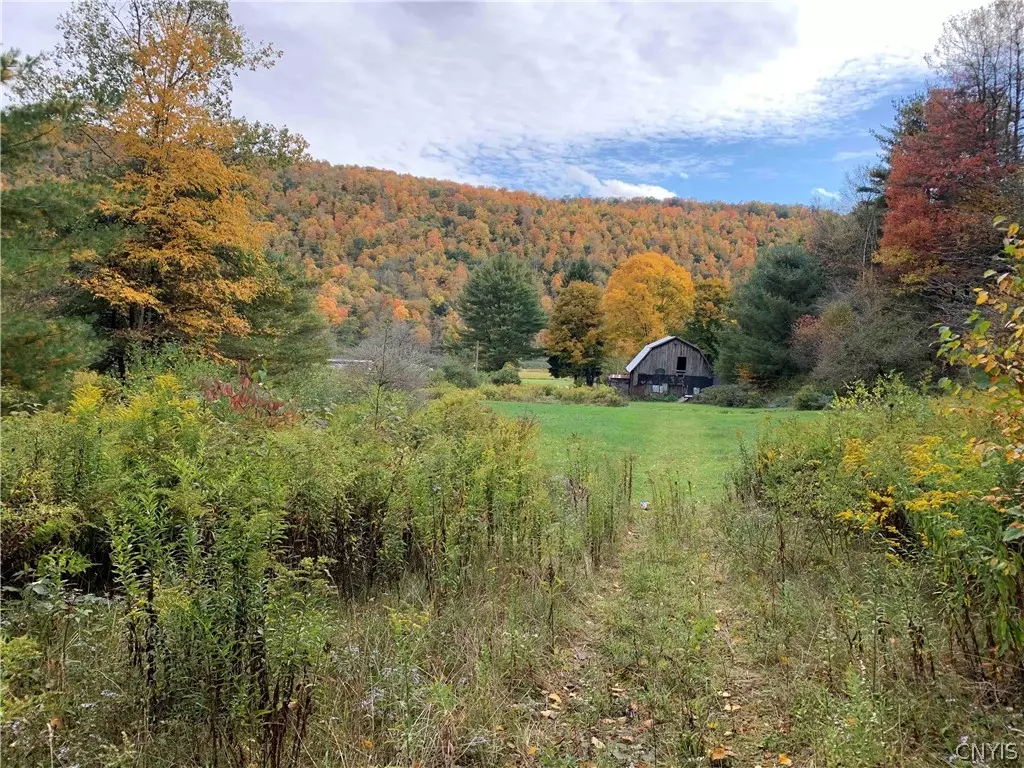 Alma, NY 14708,00 Co Road 38