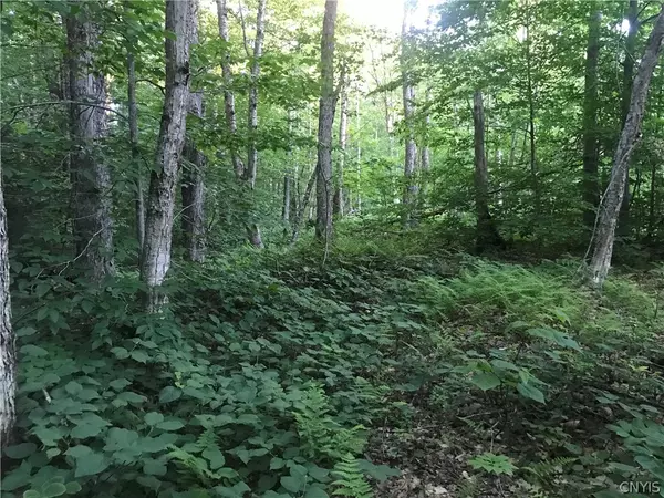 Forestport, NY 13338,LOT 180 Mohawk DR