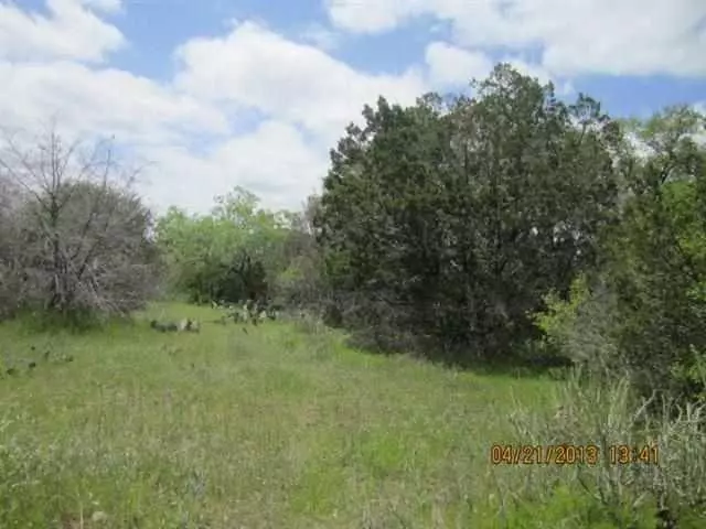 lot 473 Cactus TRL, Kingsland, TX 78639