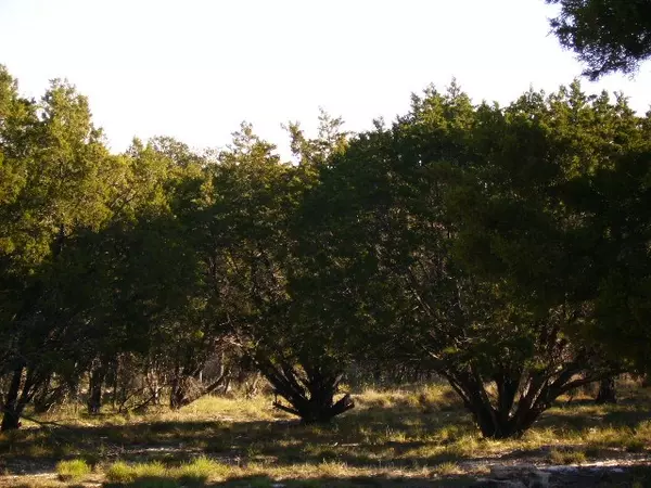 Horseshoe Bay, TX 78657,14143 PURPLE SAGE/MAVERICK