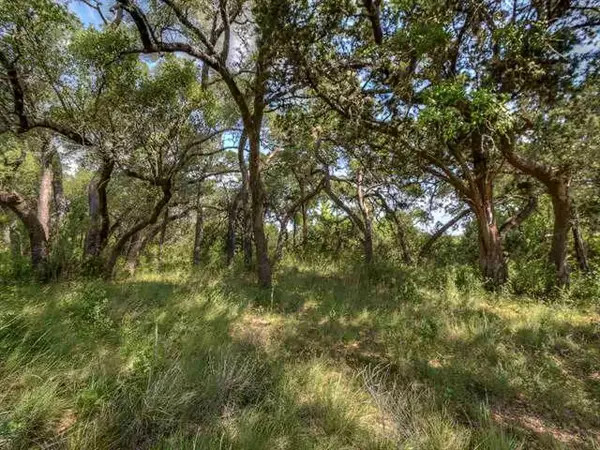 Marble Falls, TX 78654,Lot 32 Summit Springs