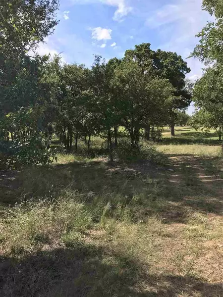 Lot 10 Eagle Point DR, Kingsland, TX 78639