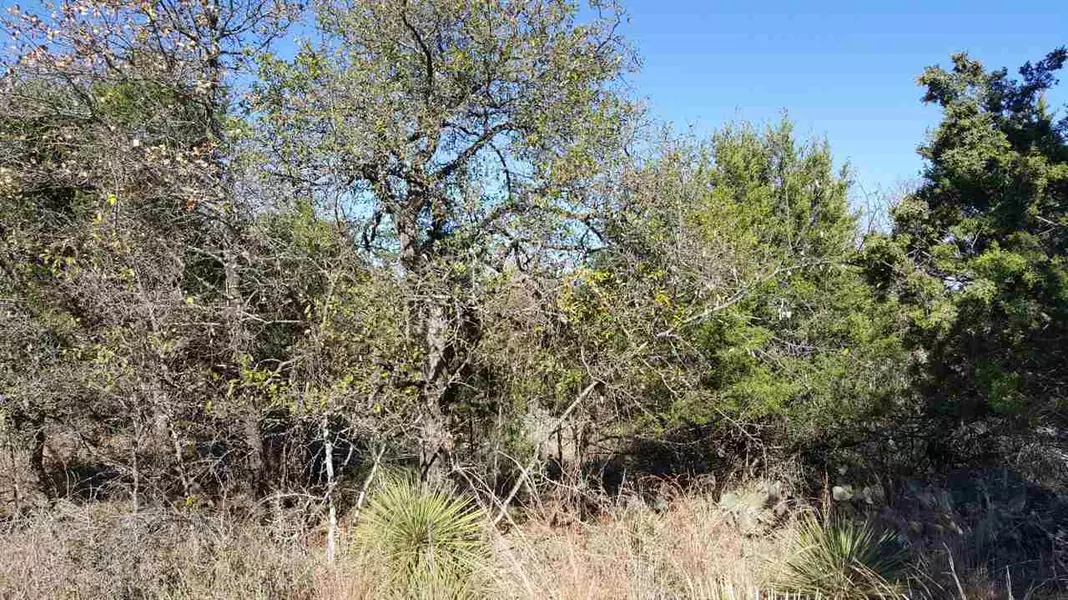 LOT 323 W Greenbriar DR, Granite Shoals, TX 78654