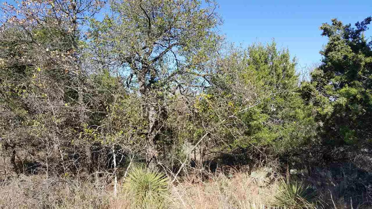 Granite Shoals, TX 78654,LOT 323 W Greenbriar DR