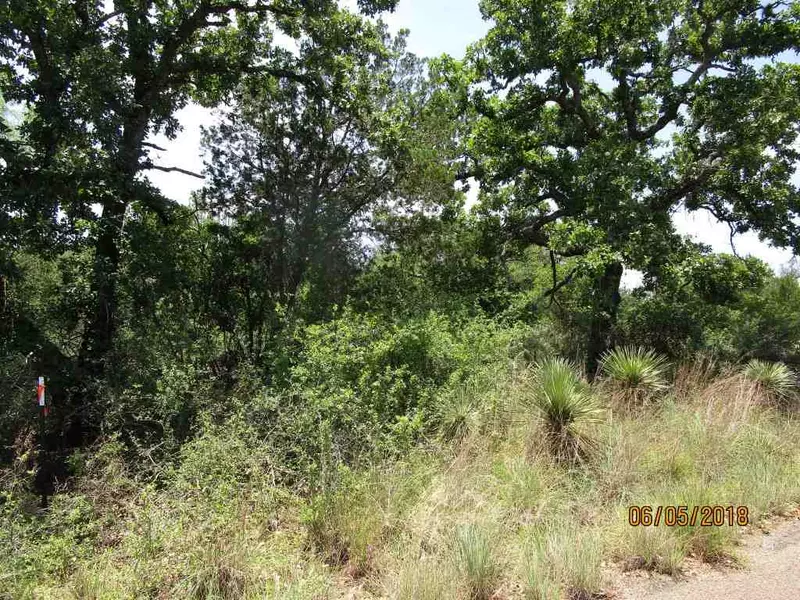 Lot 640 W Newcastle, Granite Shoals, TX 78654