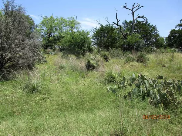 Granite Shoals, TX 78654,Lot 653 W Newcastle DR