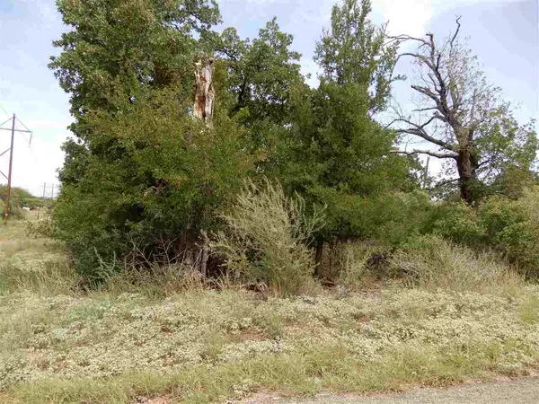 Cottonwood Shores, TX 78657,Lot 358 Pine Ln