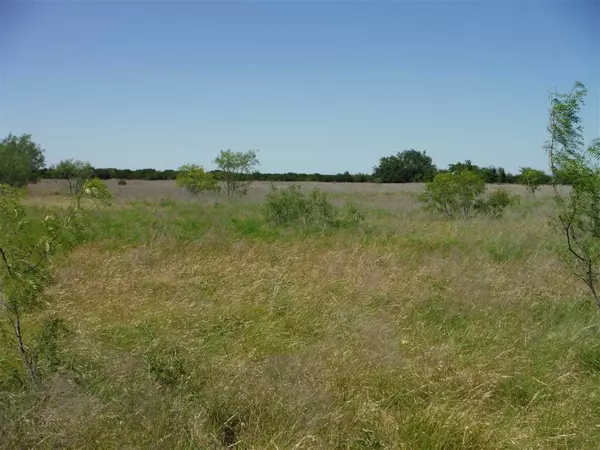 Out Of Area, TX 76522,Tract 7 Private Road 3642