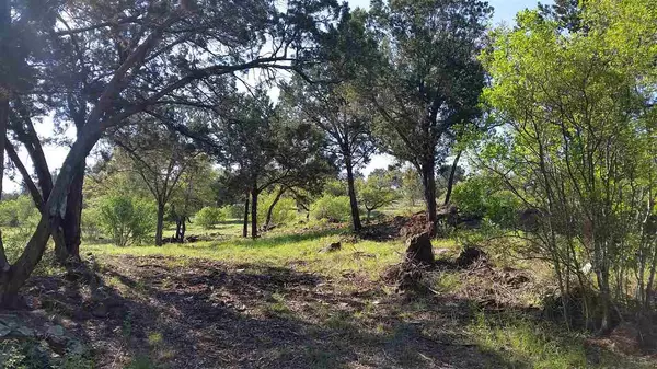 Cottonwood Shores, TX 78657,0000 Duchess Dell Lot #3