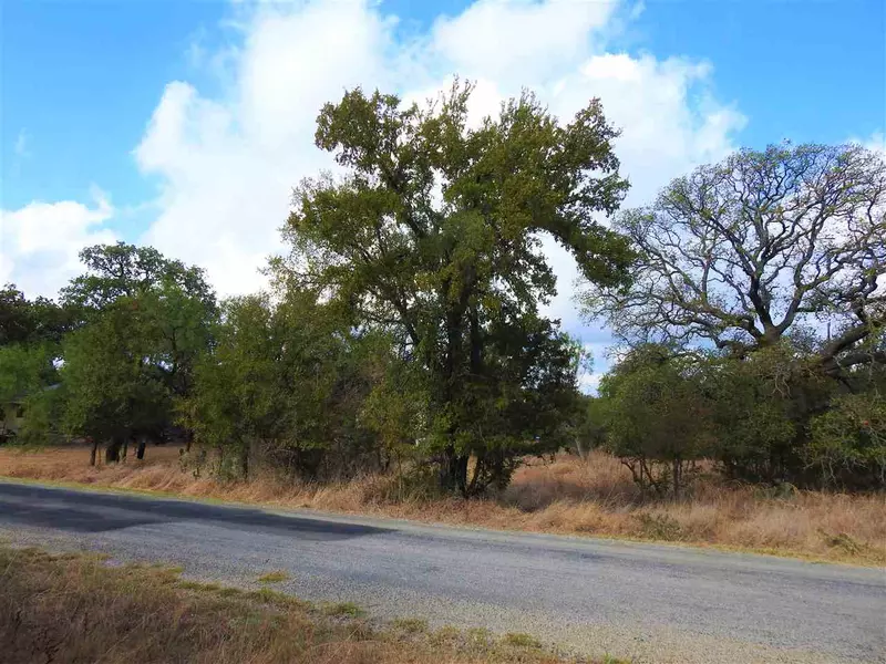 Cactus Trl Lot 247 TRL, Kingsland, TX 78639