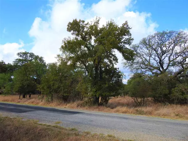 Cactus Trl Lot 247 TRL, Kingsland, TX 78639