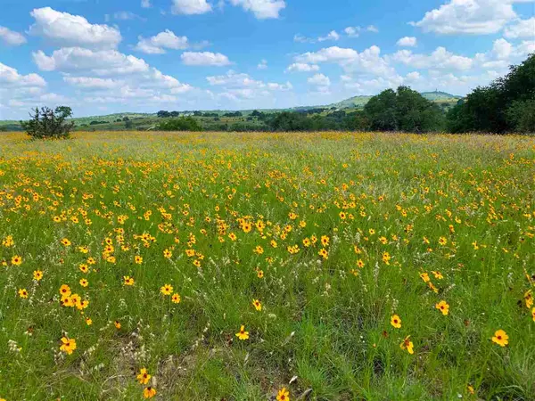 Johnson City, TX 78636-0000,8 CR 208 (Odiorne Rd)