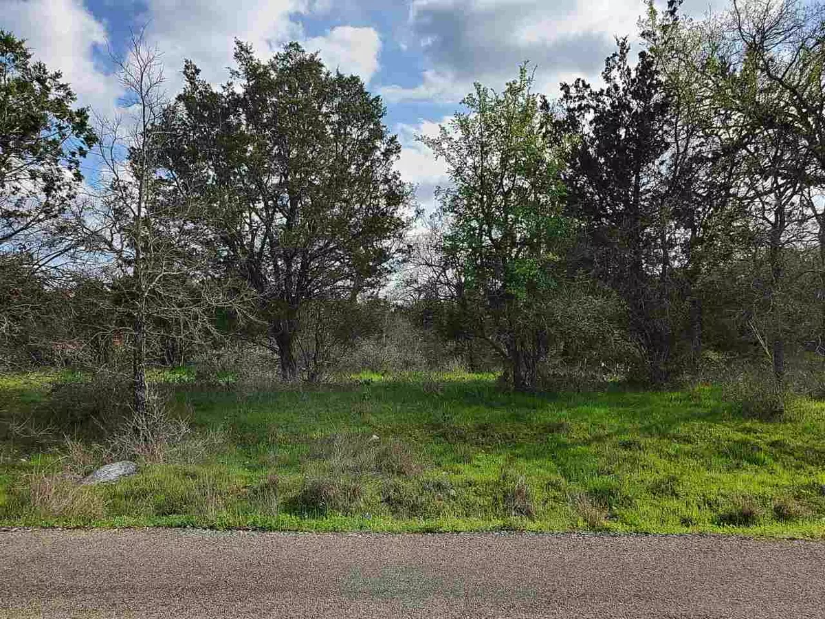 Cottonwood Shores, TX 78657,TBD Lots 209-212 Pecan & Cypress