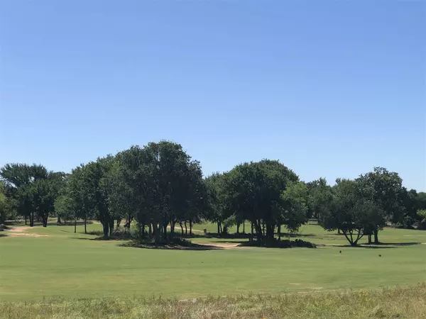 Kingsland, TX 78639,Lot 80 Link