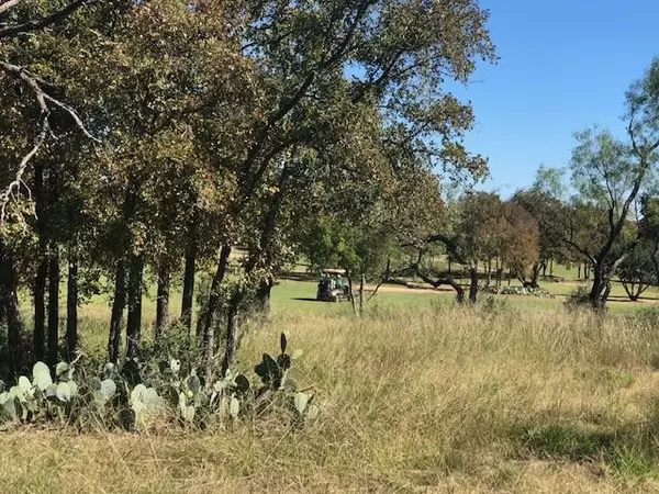 Kingsland, TX 78639,Lot 80 Link