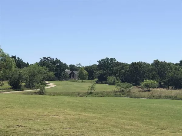 Kingsland, TX 78639,Lot 80 Link