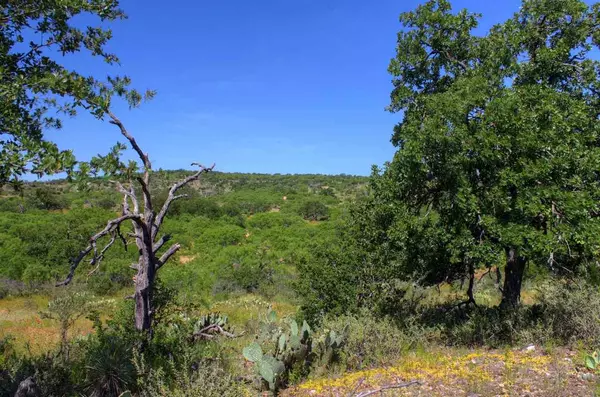 Mason, TX 76856,8133 Spiller Mine Road