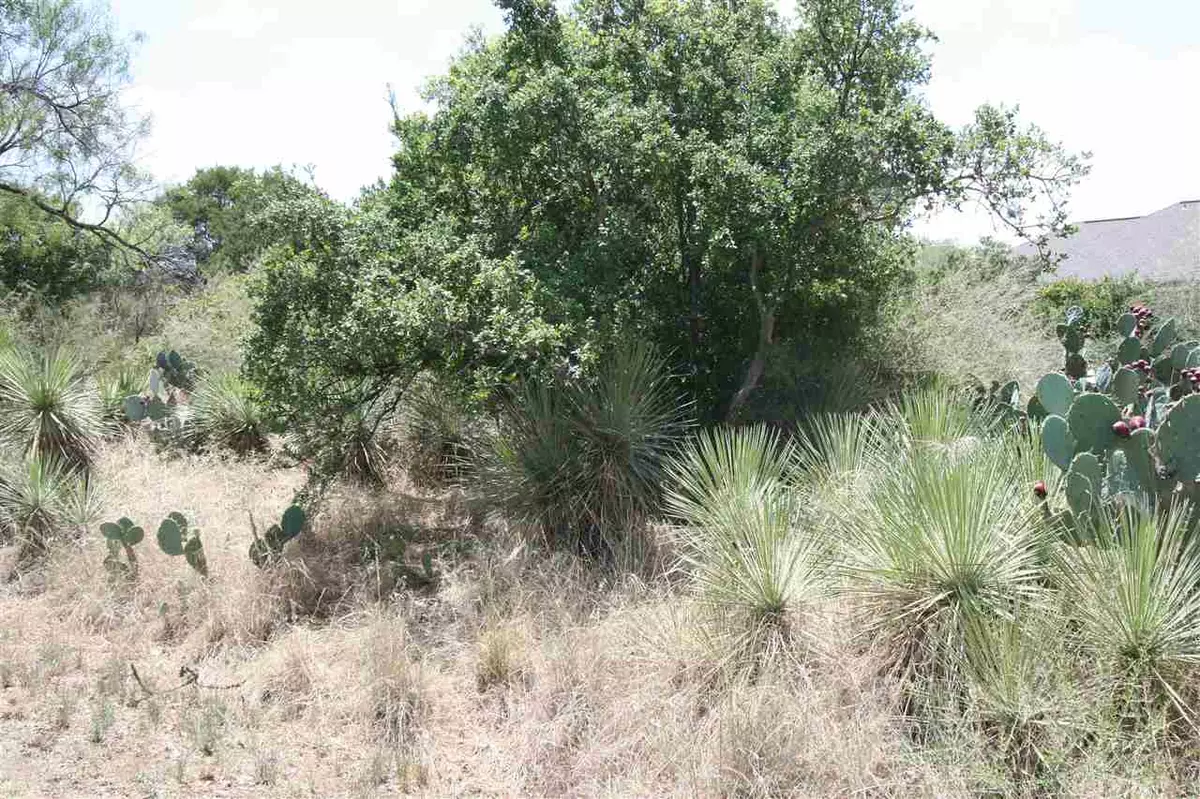 Granite Shoals, TX 78654,Lots 498 & 499 W Bluebriar