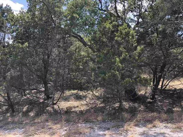 K4062 Long Bow, Horseshoe Bay, TX 78657