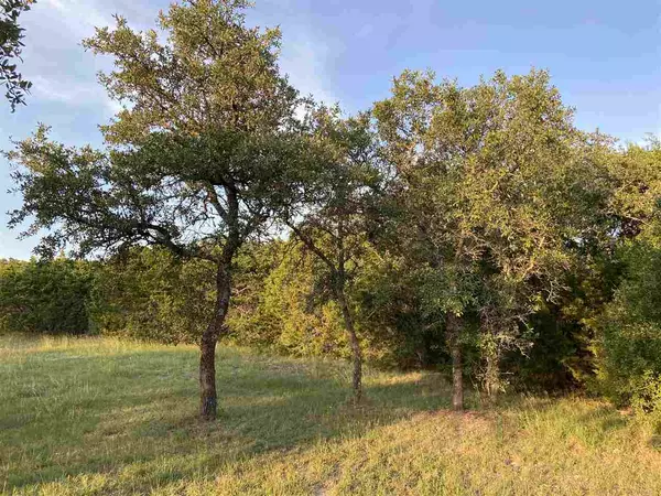 Burnet, TX 78611,TBD Dawna Len DR