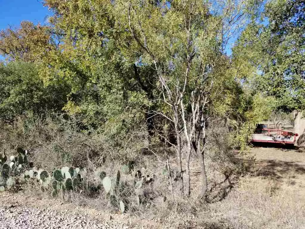 Granite Shoals, TX 78654,lot 116 Hill Wood