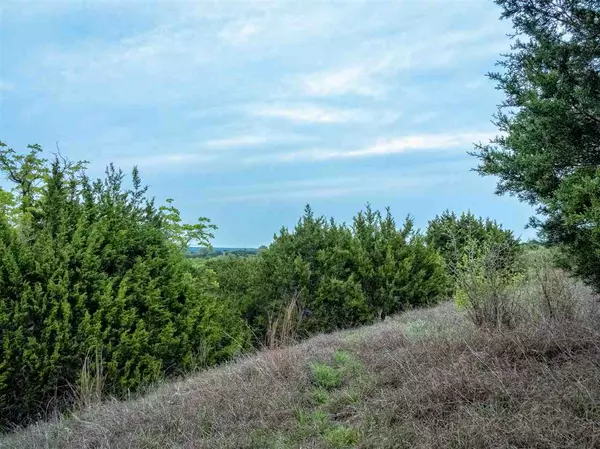 Bertram, TX 78605,Lot 65 Three Creeks Dr