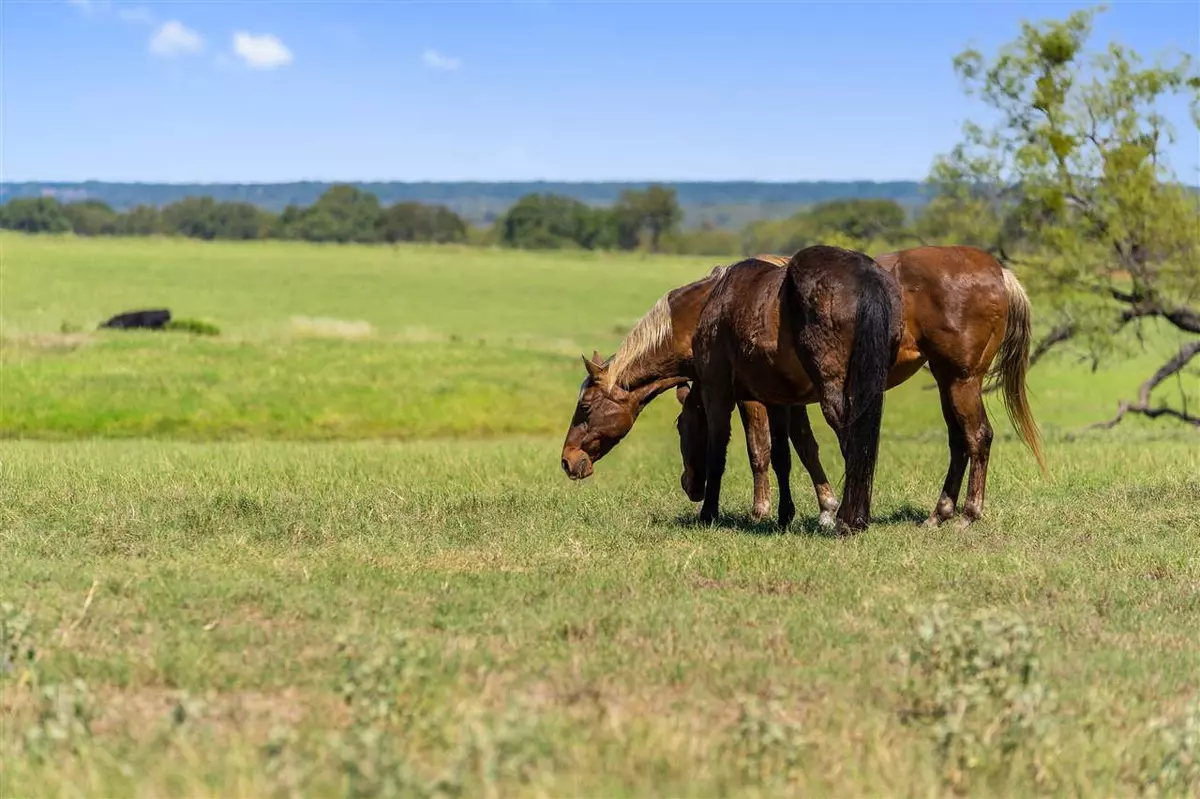 San Saba, TX 76877,00 FM 500