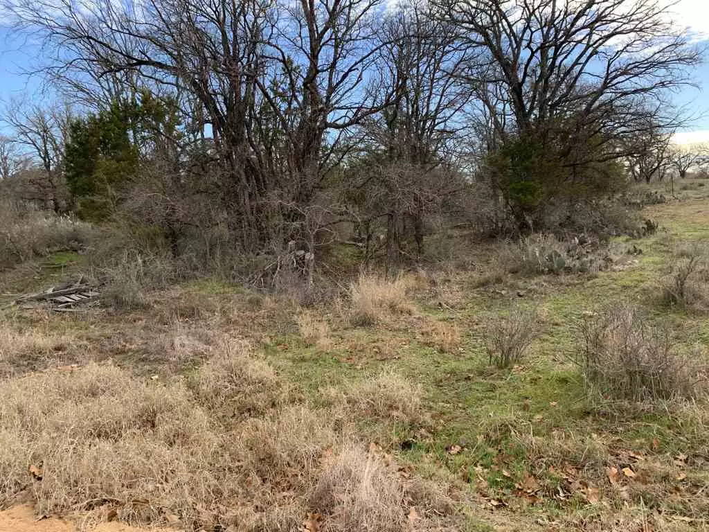 Kingsland, TX 78639,Lot 115 Ridgemont